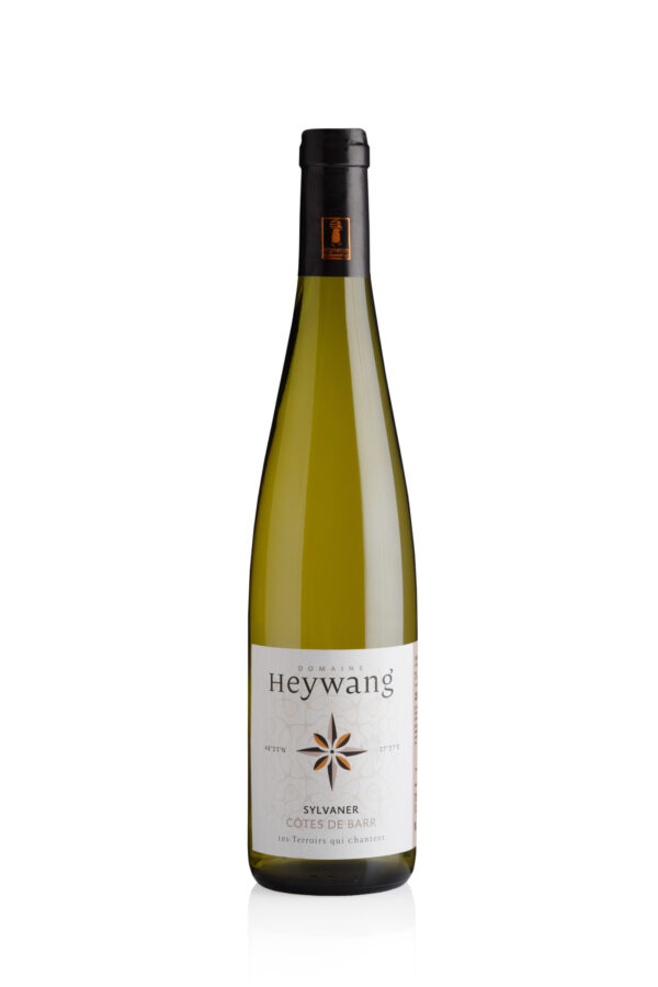 Sylvaner Lieu-dit Côtes de Barr – Image 1